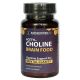 AcetylCholine Brain Food (PurchasepeptidesEco)